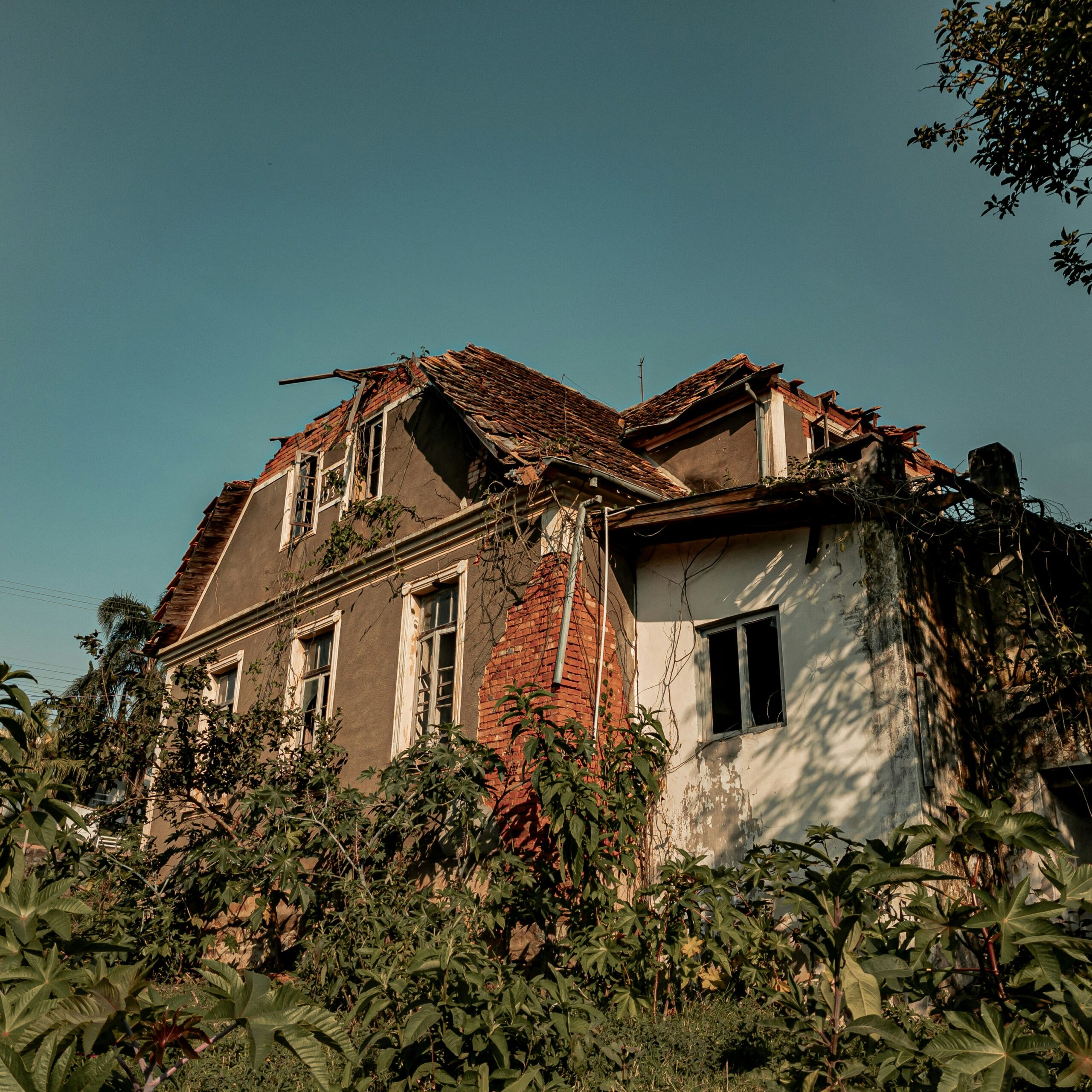 wellington schutz YZl9ZthhbPU unsplash scaled